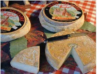 Saint Nectaire fromage